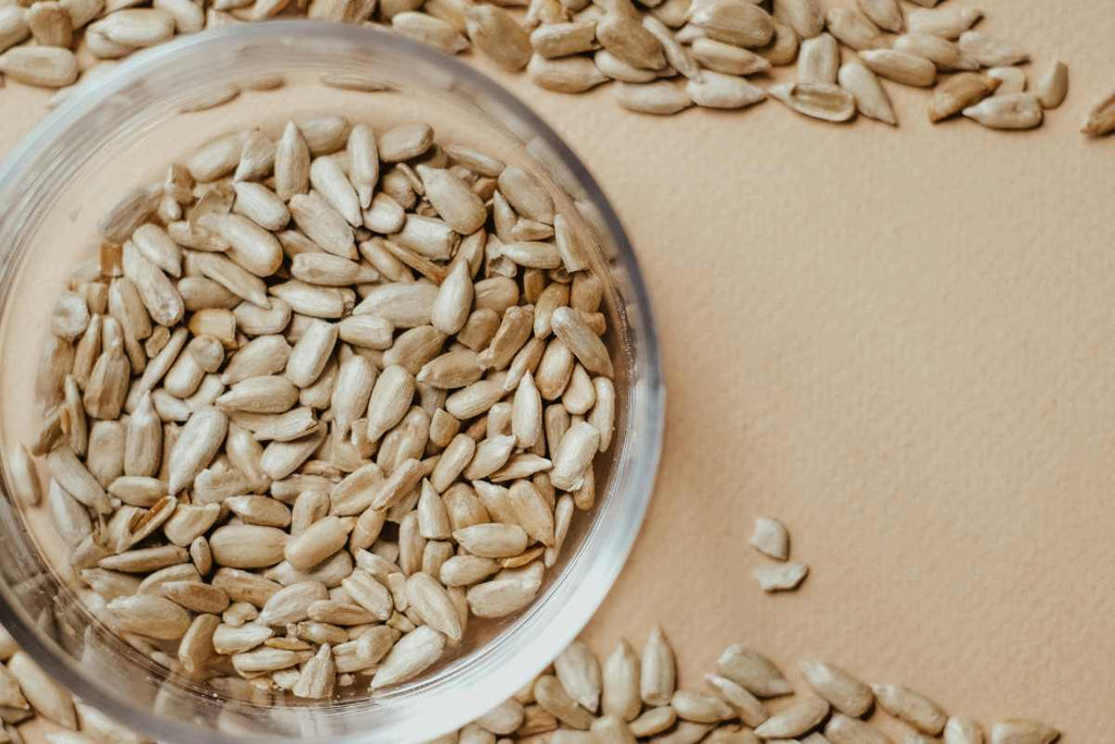 The Role of Fibre For Your Gut Health